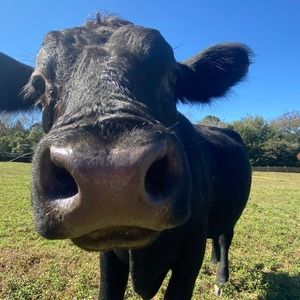 Meet your Posher, Jonathon